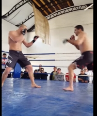 giorgi Kotorashvili (Mix fight Georgia)